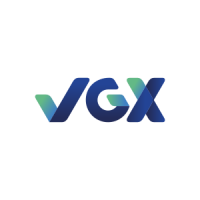 Vgx (logo 300x300 corrigido)